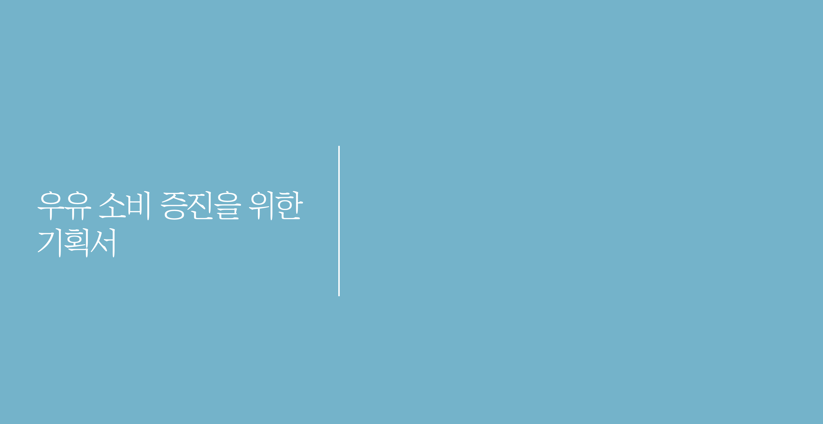 포트폴리오