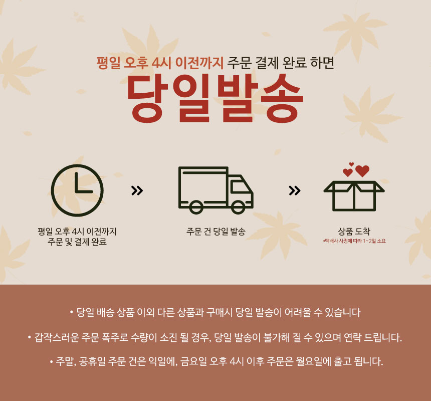 포트폴리오