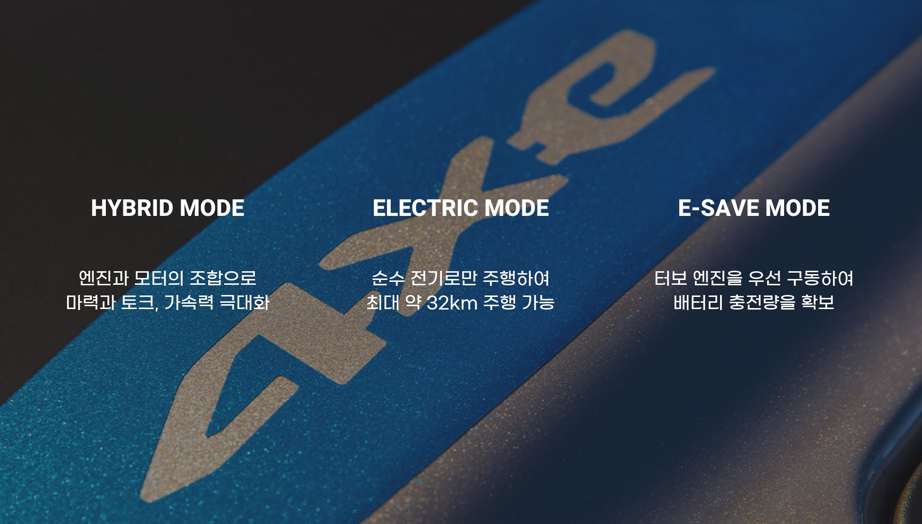 포트폴리오